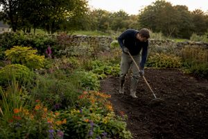 Close-up of gardener raking soil in Irish garden